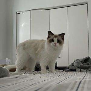 Meet your Posher, Dantong